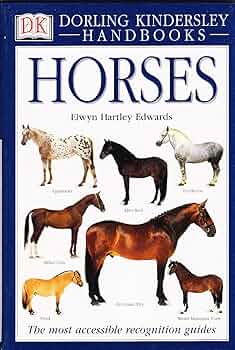 Horse Breeds&Breeding-Jane Kidd 洋書 Horse Breeds&Breeding-Jane Kidd 洋書 - メルカリ