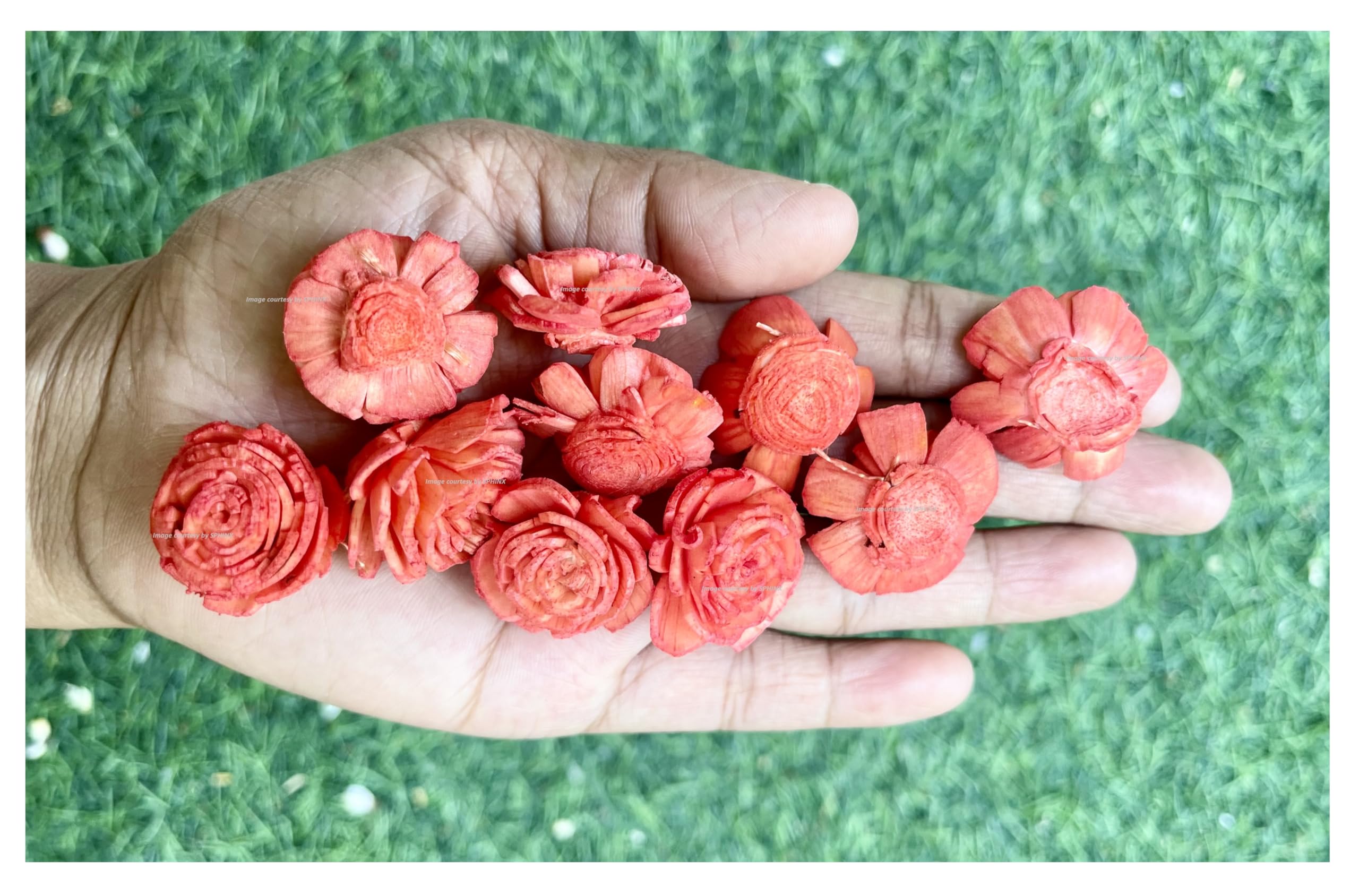 SPHINX Sola Wood Paper Bailey Flowers, D-I-Y Art and Crafts, Garland Making Festive Pooja Wedding Housewarming Christmas Decorations (Diameter 2 cms - 50 Pieces, Orange)-image-11