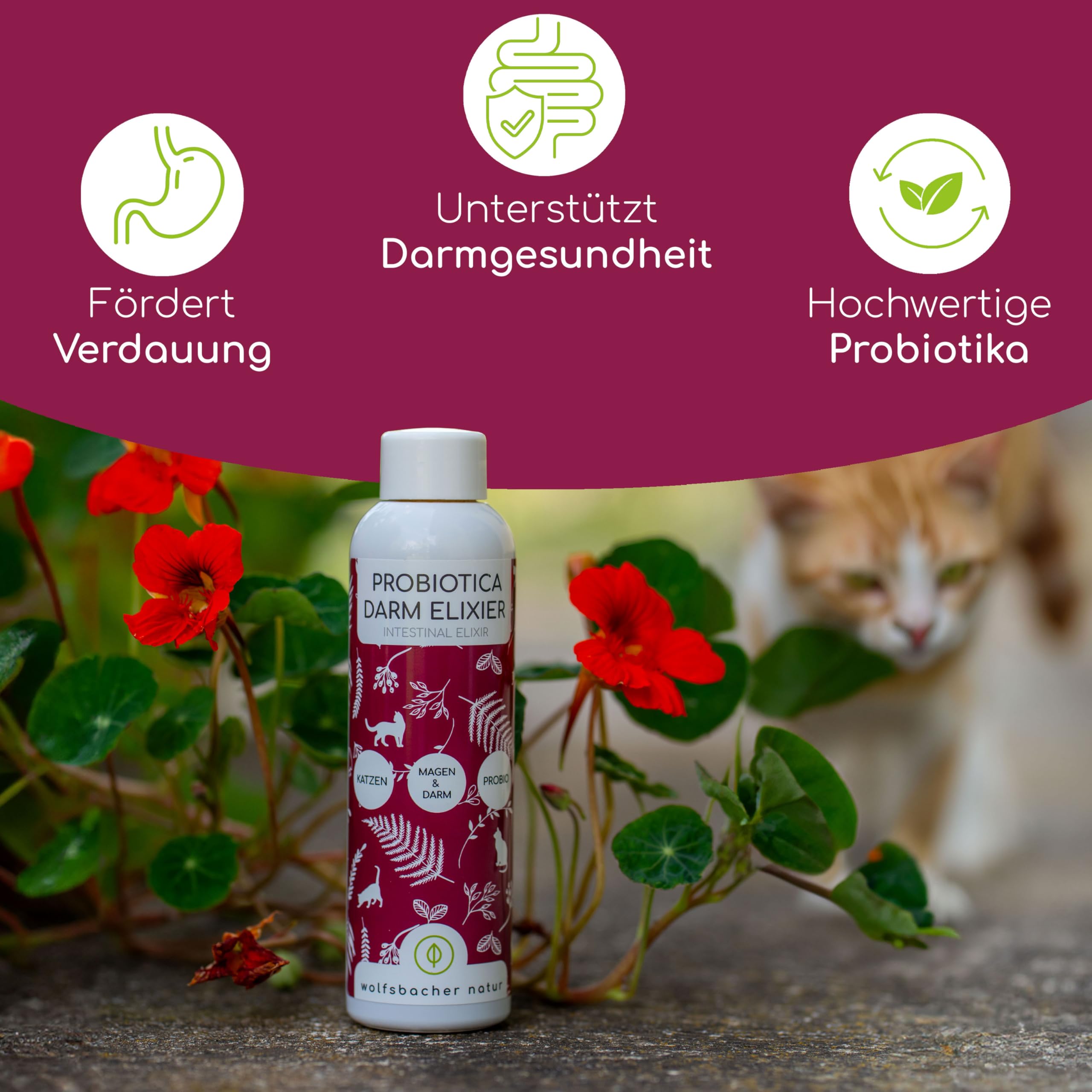 Cura intestinale probiotica per gatti - Supporta la salute intestinale - 100% naturale - Favorisce una sana digestione - 150ml
