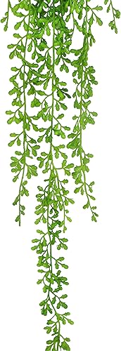 Miniatura 2 de Unknown1 Cadena de perlas de cola de burro para suculentas, espray de vegetación colgante de 40 pulgadas, 40 pulgadas de largo x 8 pulgadas de