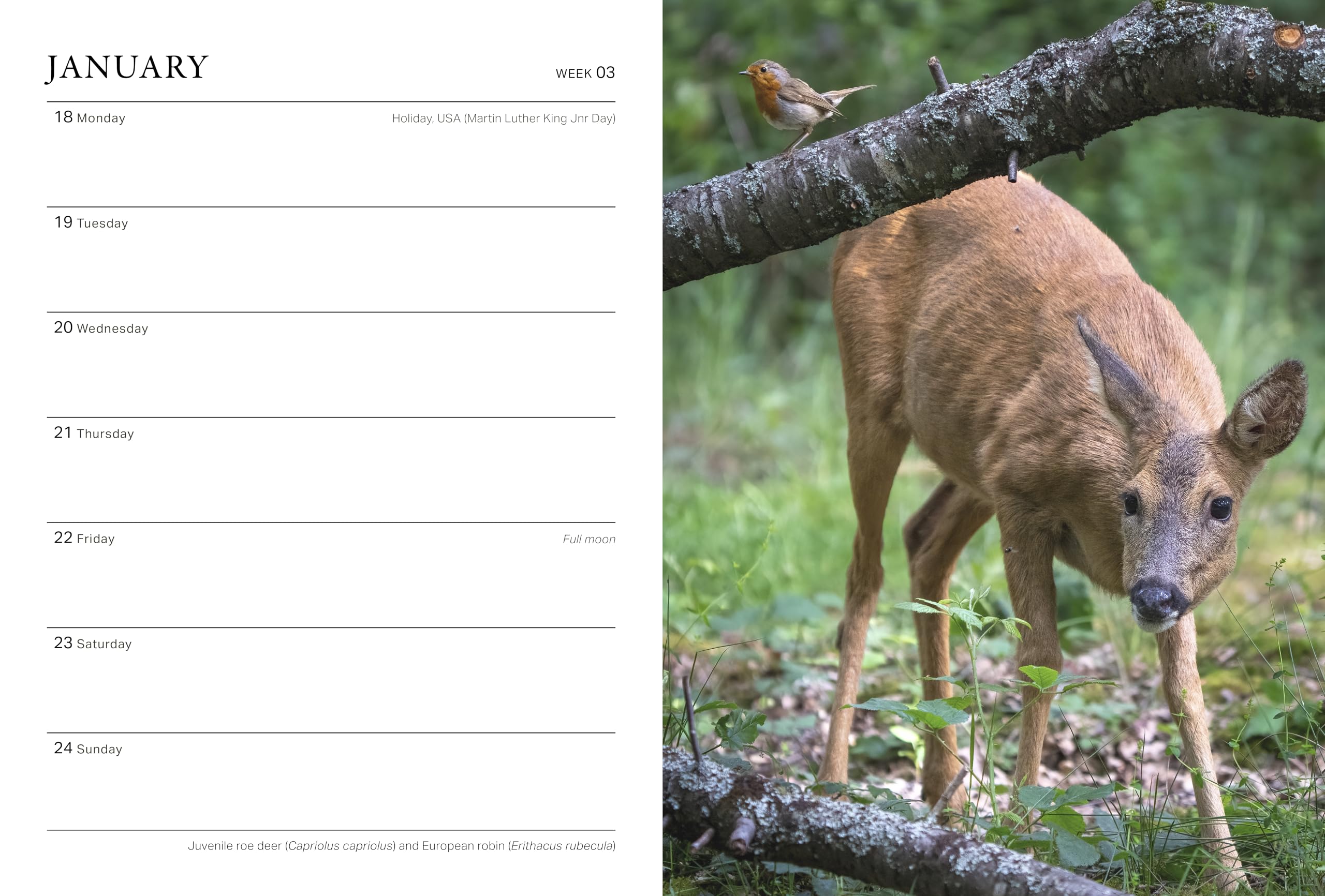 RHS Wild in the Garden Diary 2027