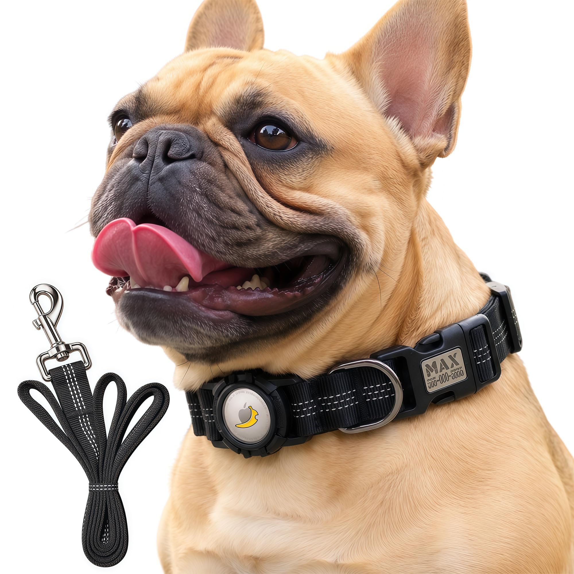 CEMULA Personalised Dog Collar & Lead Set Compatible with Apple AirTag