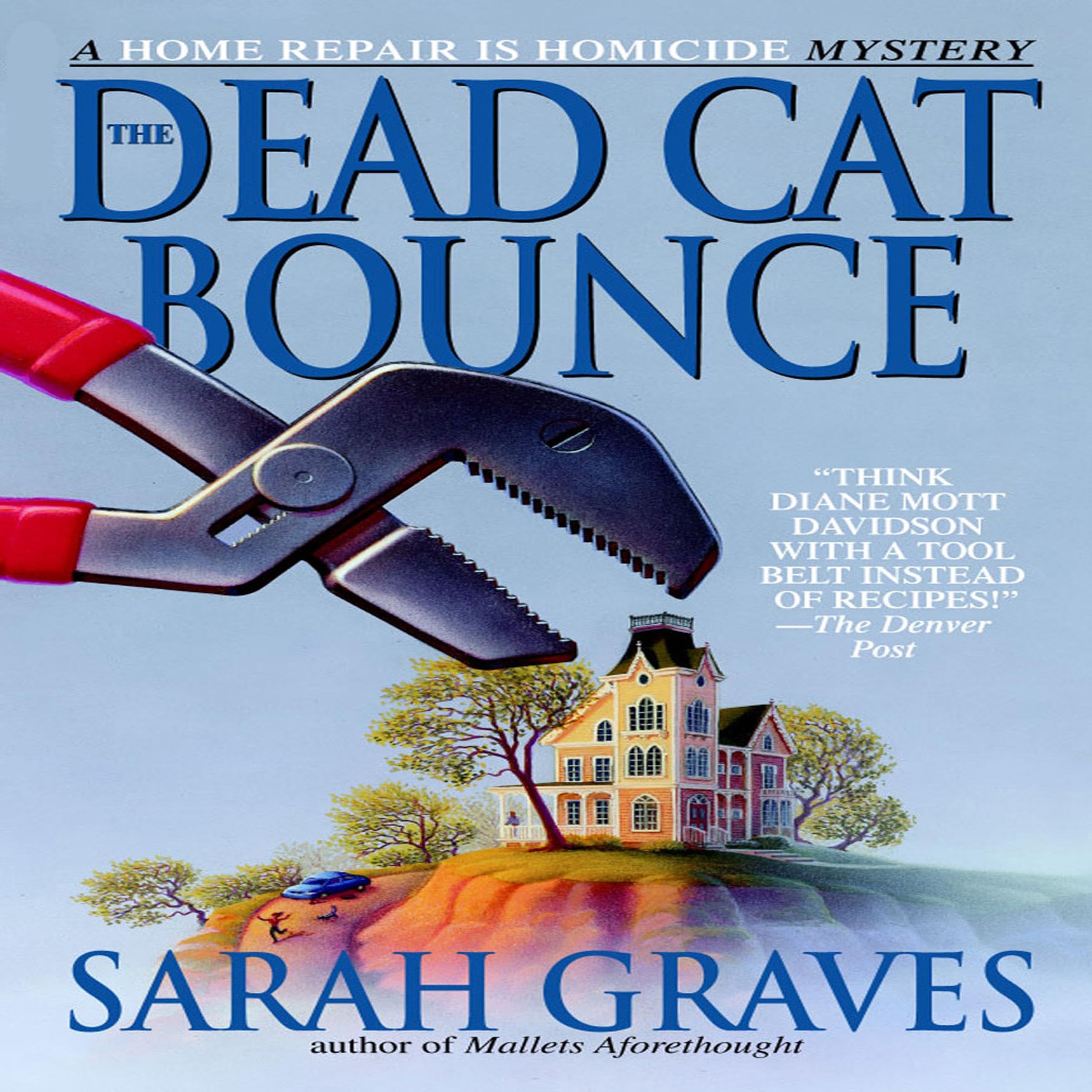 Cover art for The Dead Cat Bounce