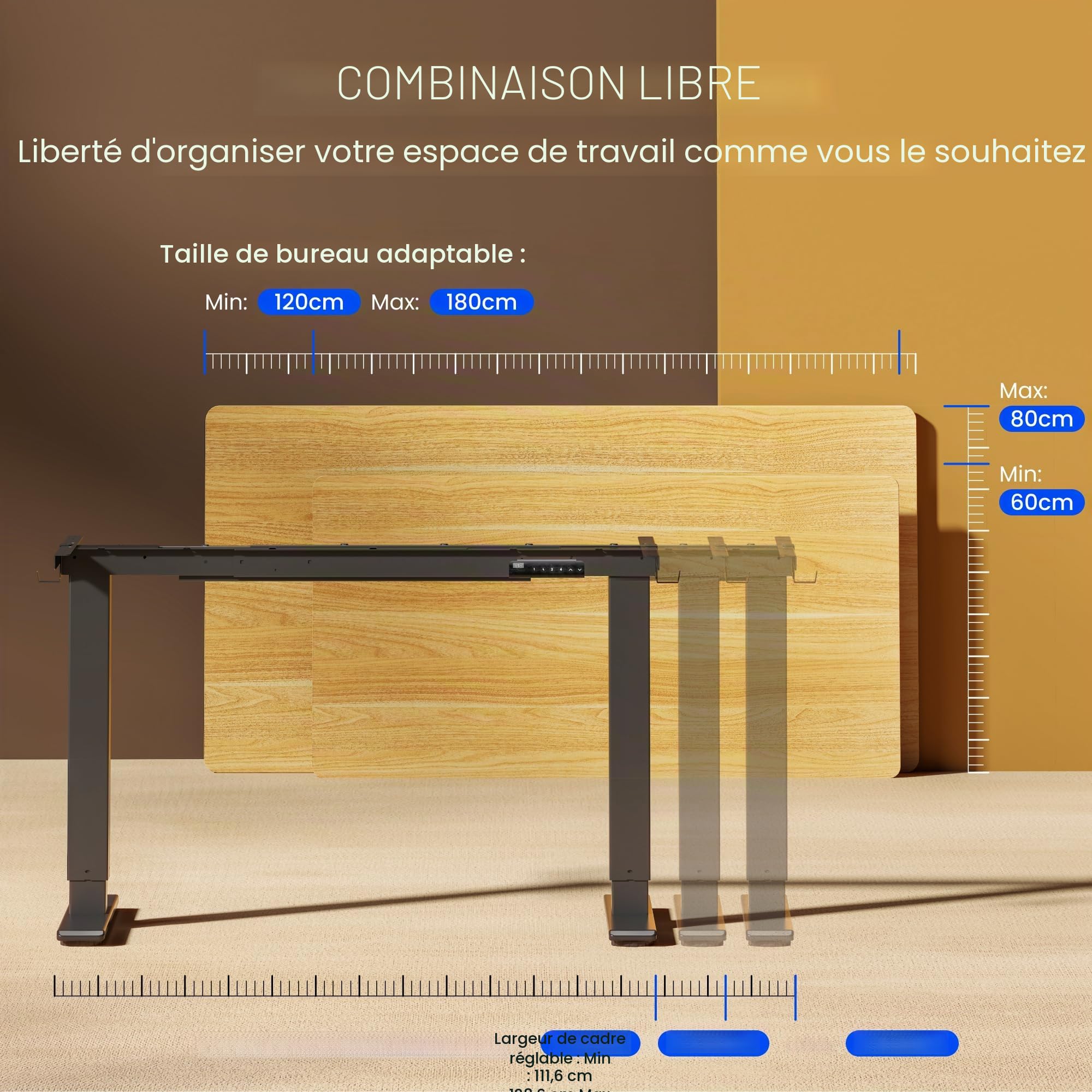 FlexiSpot Bureau Assis Debout Électrique à 2 Moteurs Charge 100kg, Bureau Réglable en Hauteur en Acier avec Panneau Smart à Fonctions Mémoires, Système Anti-collision, Cadre en Noir