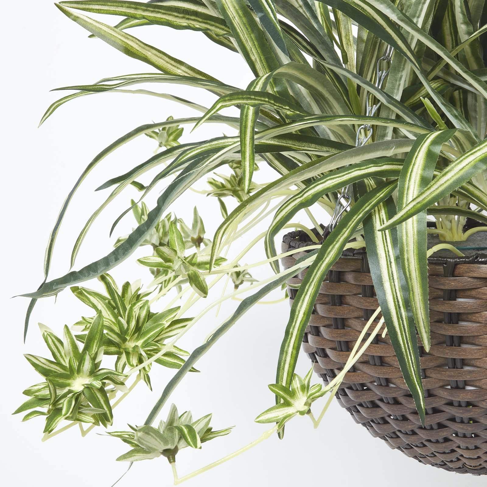 knstlicher olivenbaum kaufen Knstlicher Olivenbaum | 160 cm