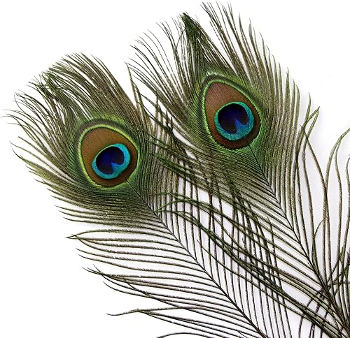 Miniatura 7 de THARAHT 24 piezas de plumas de pavo real largas naturales a granel 32-35 pulgadas 80-90 cm para decoración de jarrón, manualidades, boda, hogar,