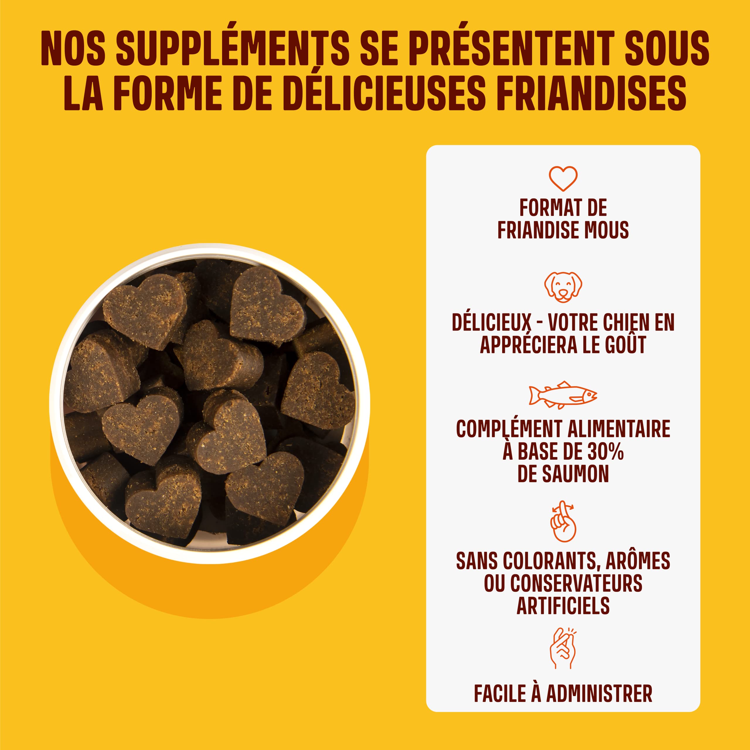 ivvi Skin & Coat Complément Alimentaire pour Chien, Anti-Démangeaisons, Fourrure Douce et Brillante - Oméga 3, Huile de Saumon, DHAgold, Vitamines C, E et Zinc - 60 Friandises au Saumon