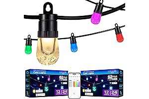 2 Pack Multi-Color LED Smart String Lights