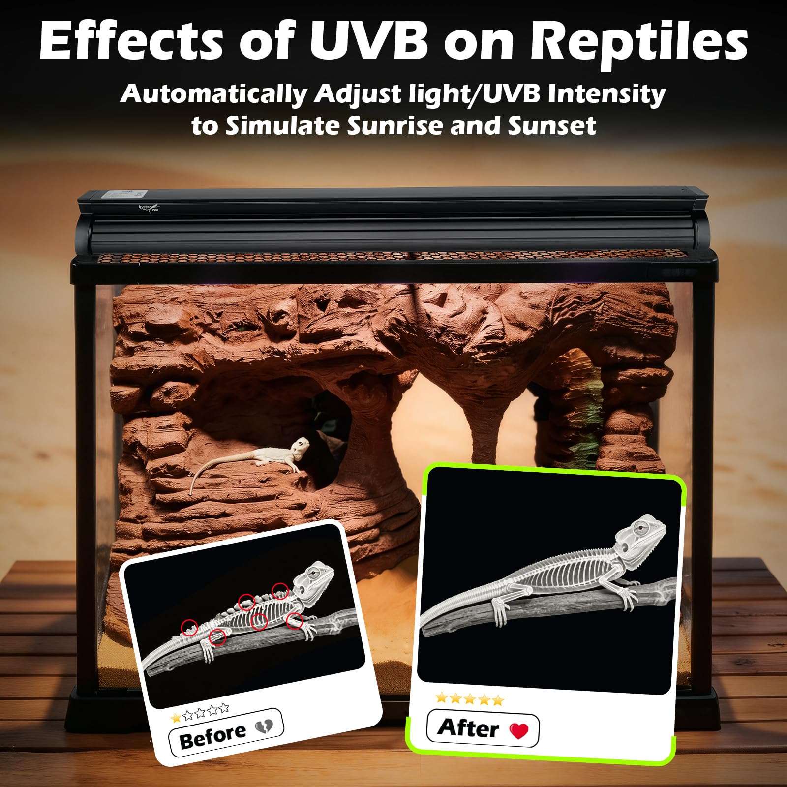 Luce UVB LED 6W per rettili