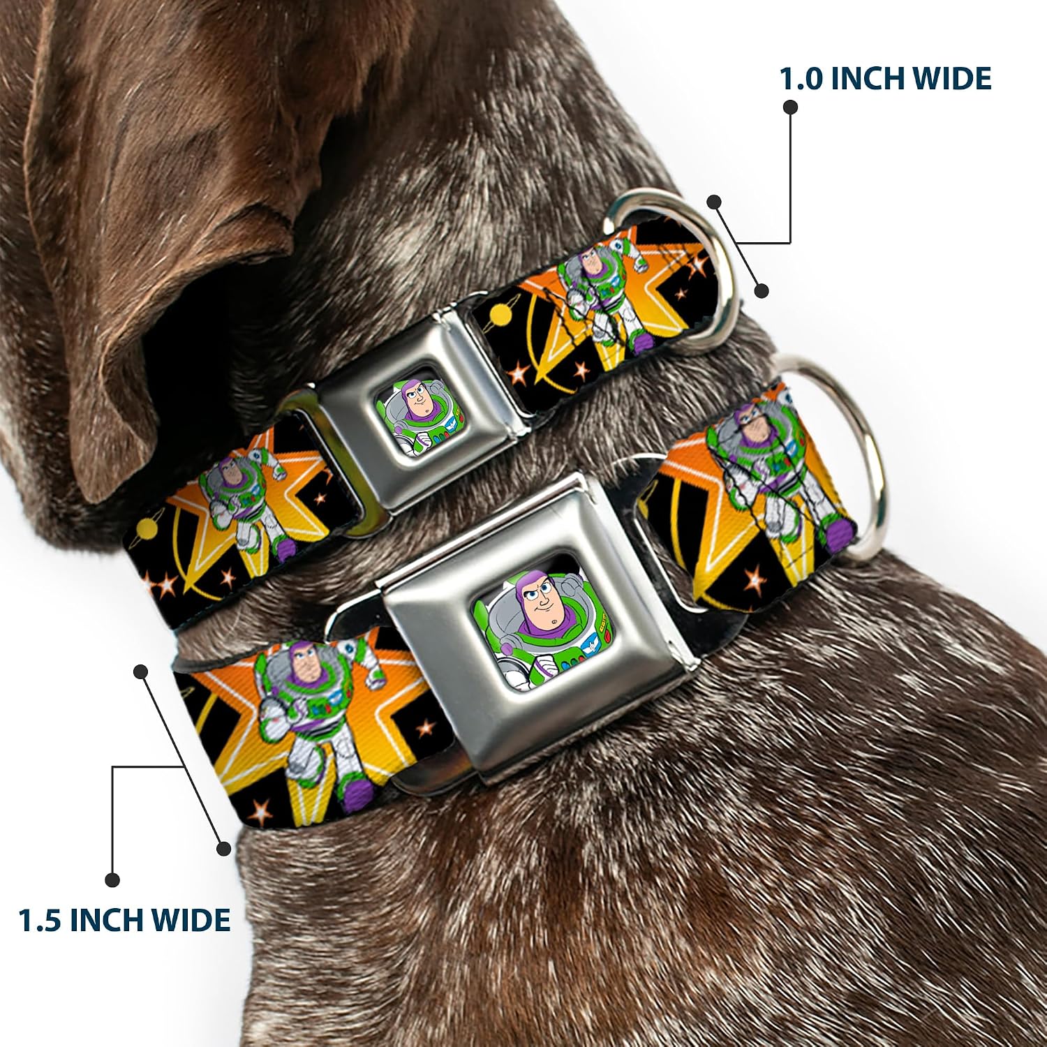 Dog Collar Seatbelt Buckle Toy Story Buzz Lightyear Running Stars Black Orange Yellow 11 to 17 Inches 1.0 Inch Wide