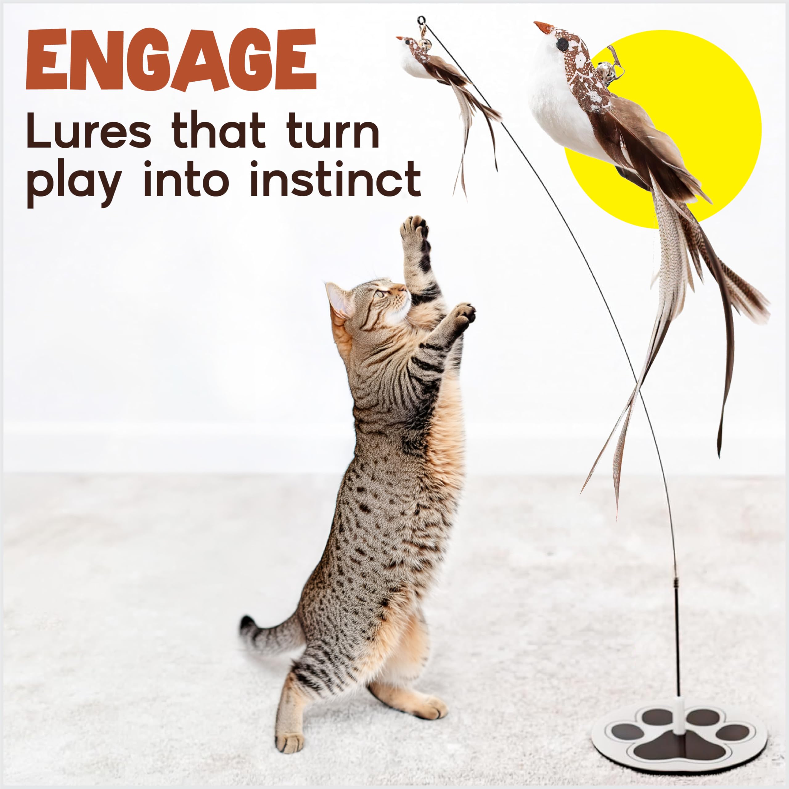 Whisker Wonders Lot de 5 jouets pour chat avec base solide