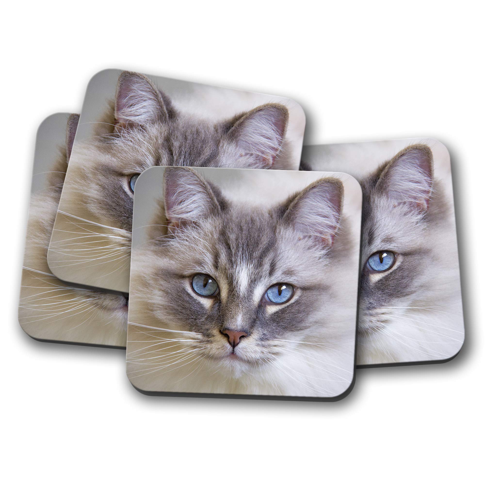 Destination Vinyl Ltd Multicolor 4 Set - Gorgeous Rag Doll Cat Coaster - Feline Friendly Animals Pets #16863