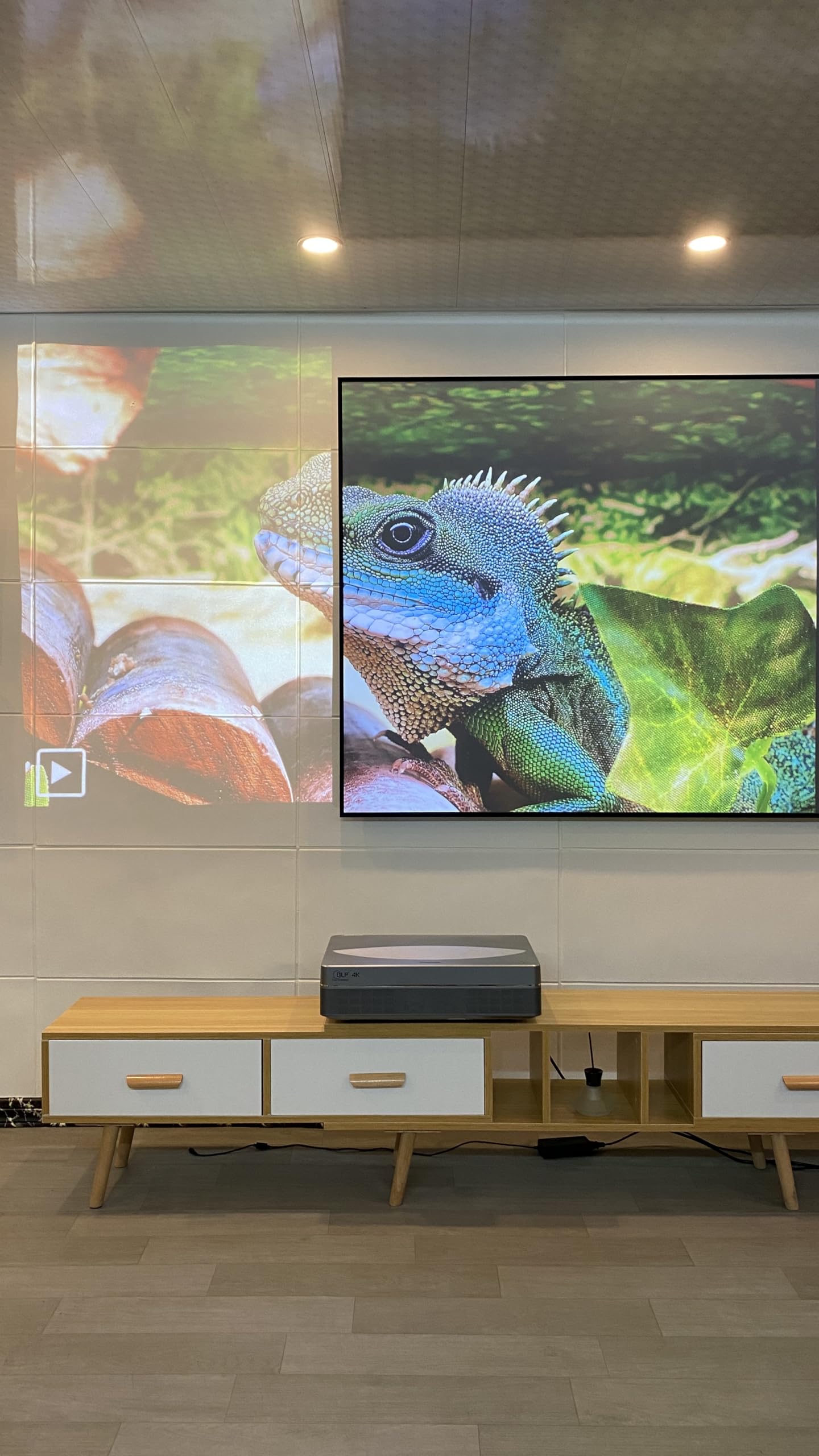 Amazon.com: ALR Screen for UST Projector, 120 inch ALR Fixed Frame