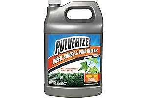 Pulverize PWBV-C-128 Brush & Vine Concentrate Weed Killer