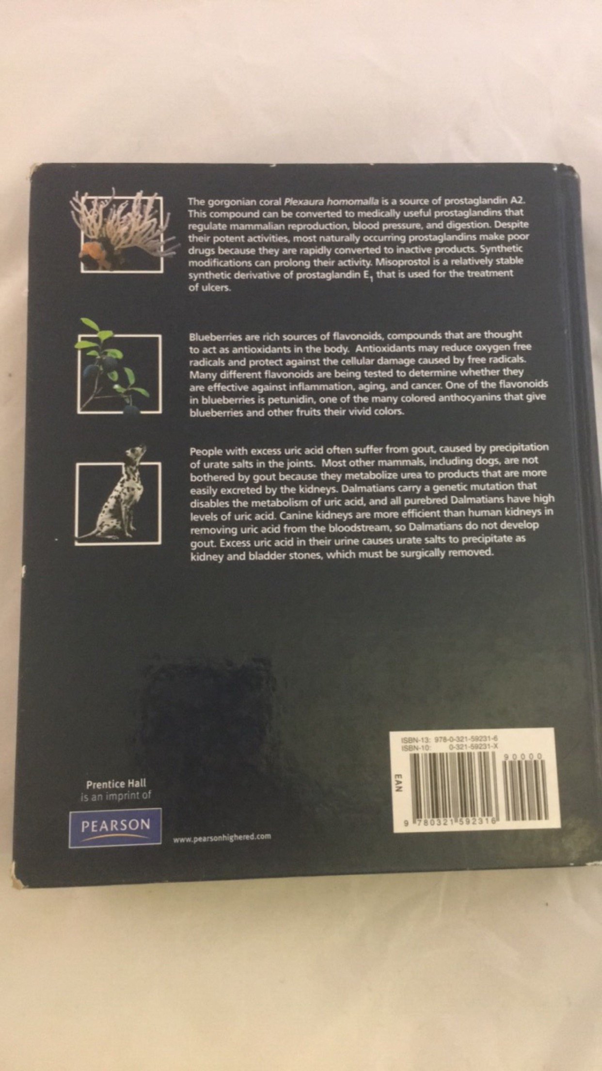 Organic Chemistry - Image 6