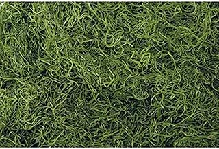 Preserved Green Spanish Moss