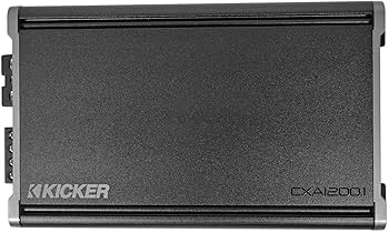 81yFTWY1CQL._AC_UF350,