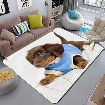 新品!犬用ラグとしても。¥18,000高級ユニットラグ50×50cm 6枚 新品!犬用ラグとしても。¥18,000高級ユニットラグ50×50cm 6枚