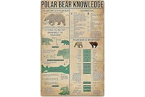 Polar Bear Anatomy Wall Art: Unveil the Fascinating Structure of an Arctic Icon