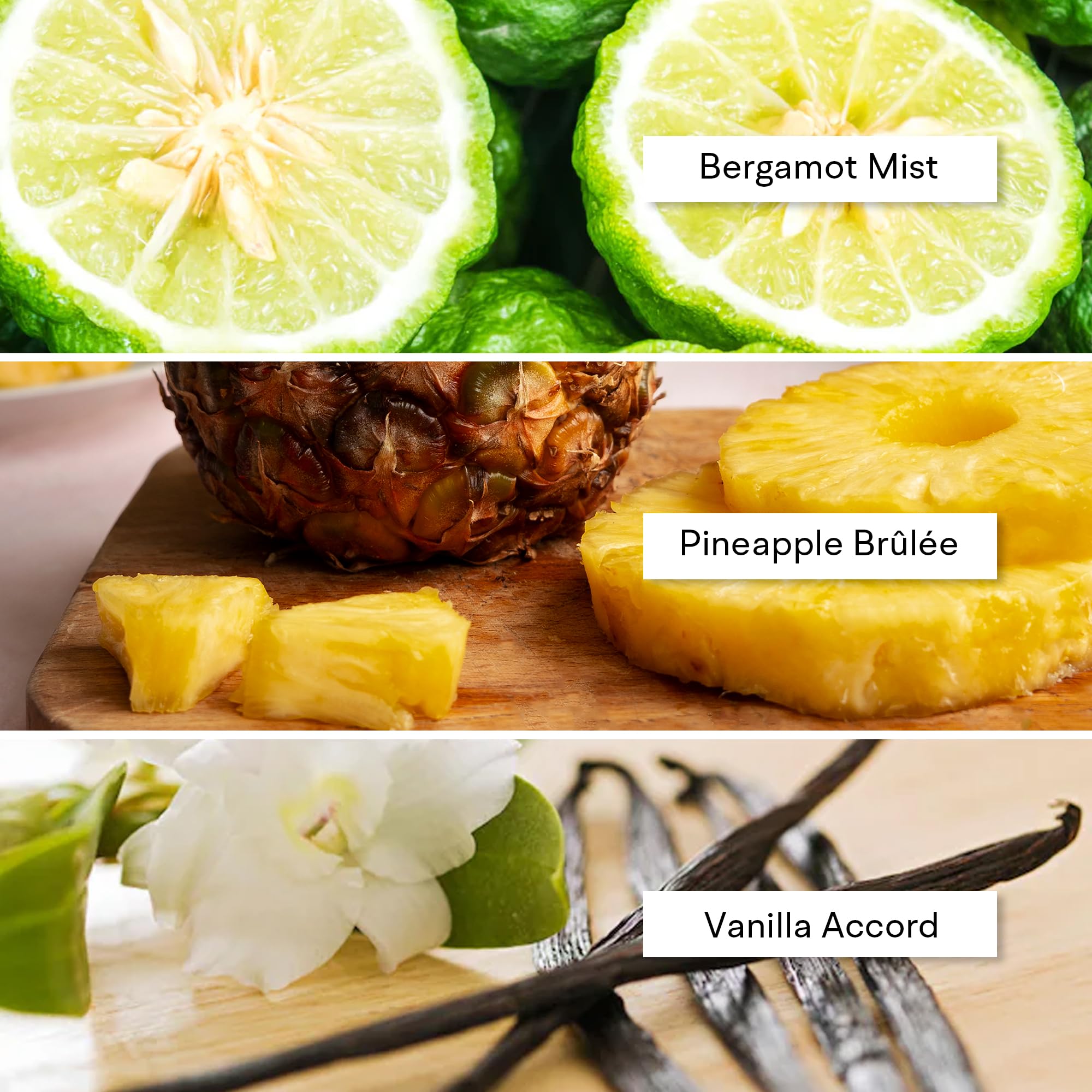 Amazon.com: Alexandria Fragrances Game Time Extrait de Parfum