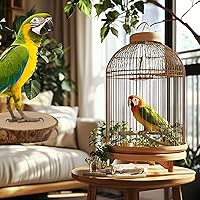 Vista 6 de 8 Piezas de Perchas de Aves Naturales de Madera para Jaula, Soporte y Plataforma de Perca para Loros, Accesorios para Jaula de Pájaros