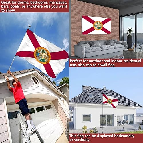 Miniatura 2 de Bandera del estado de Florida de 2 x 3 para exteriores, doble cara, resistente, bandera del estado de Florida con 2 ojales de latón, 4 filas