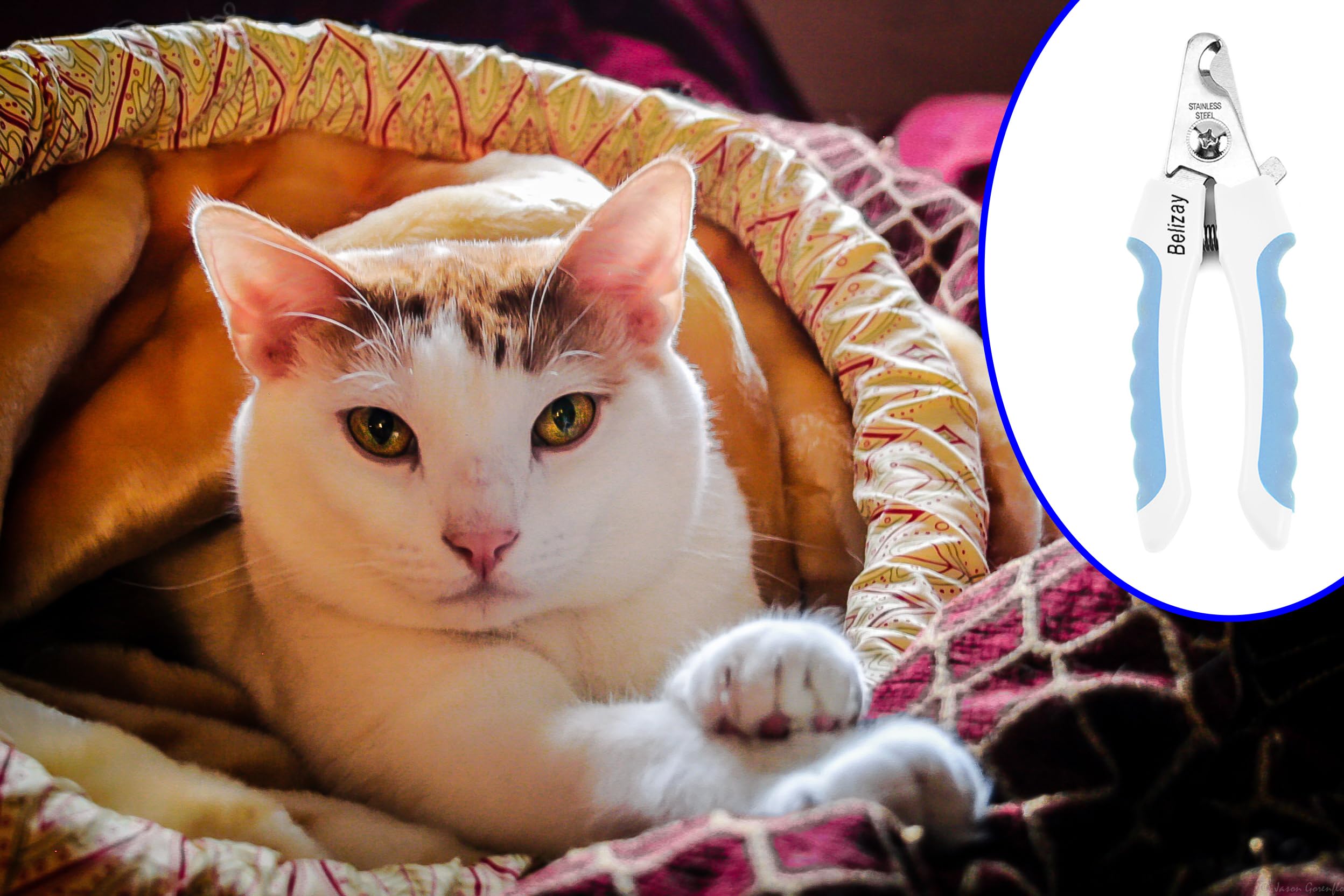Belizay Krallenknipser Für Hunde & Katzen – Mit Sicherheitsstopp & Kotbeutelrolle, Für Kleine Tiere