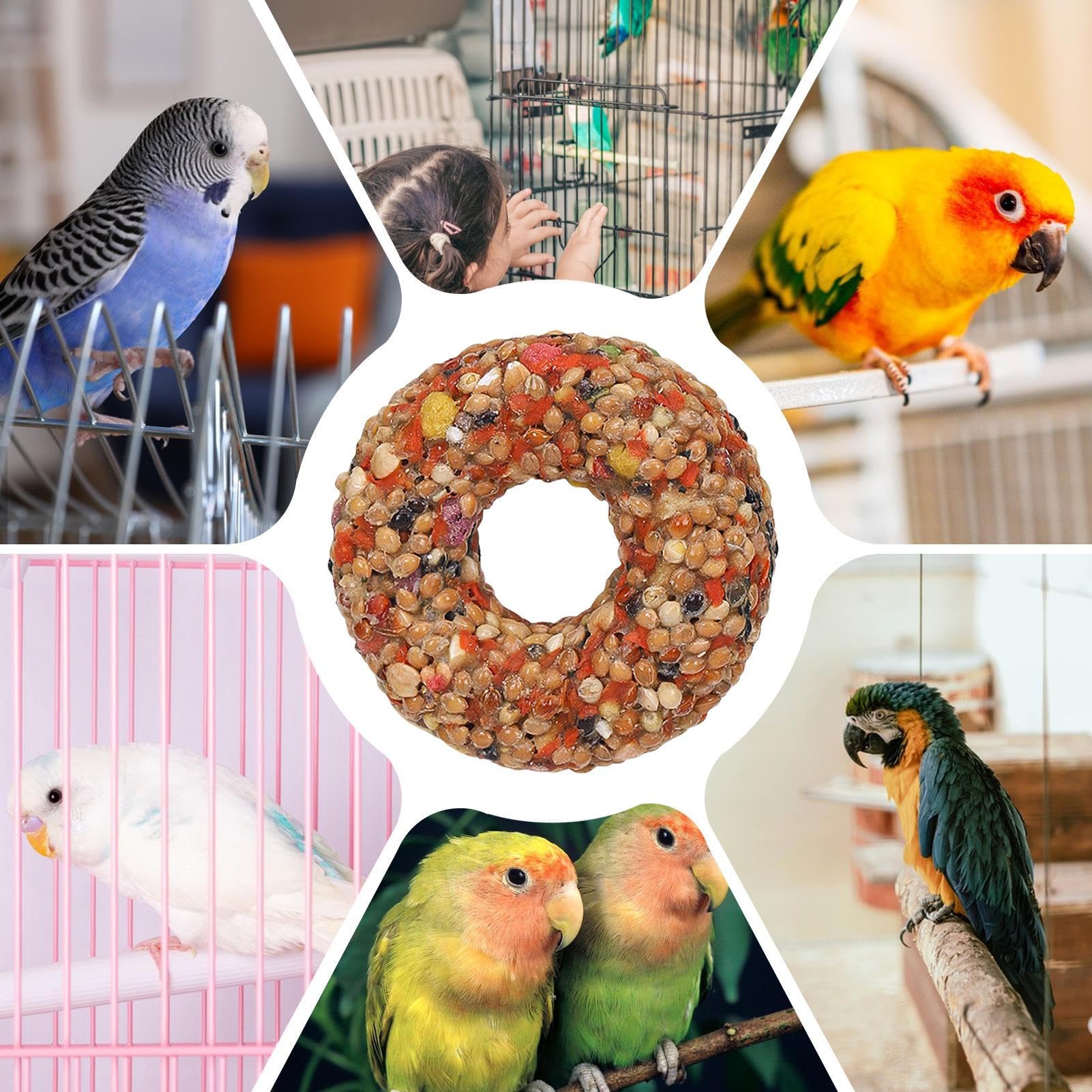 Amazon.co.jp: バードフード インコ用おもちゃ ドーナツ型かじり木