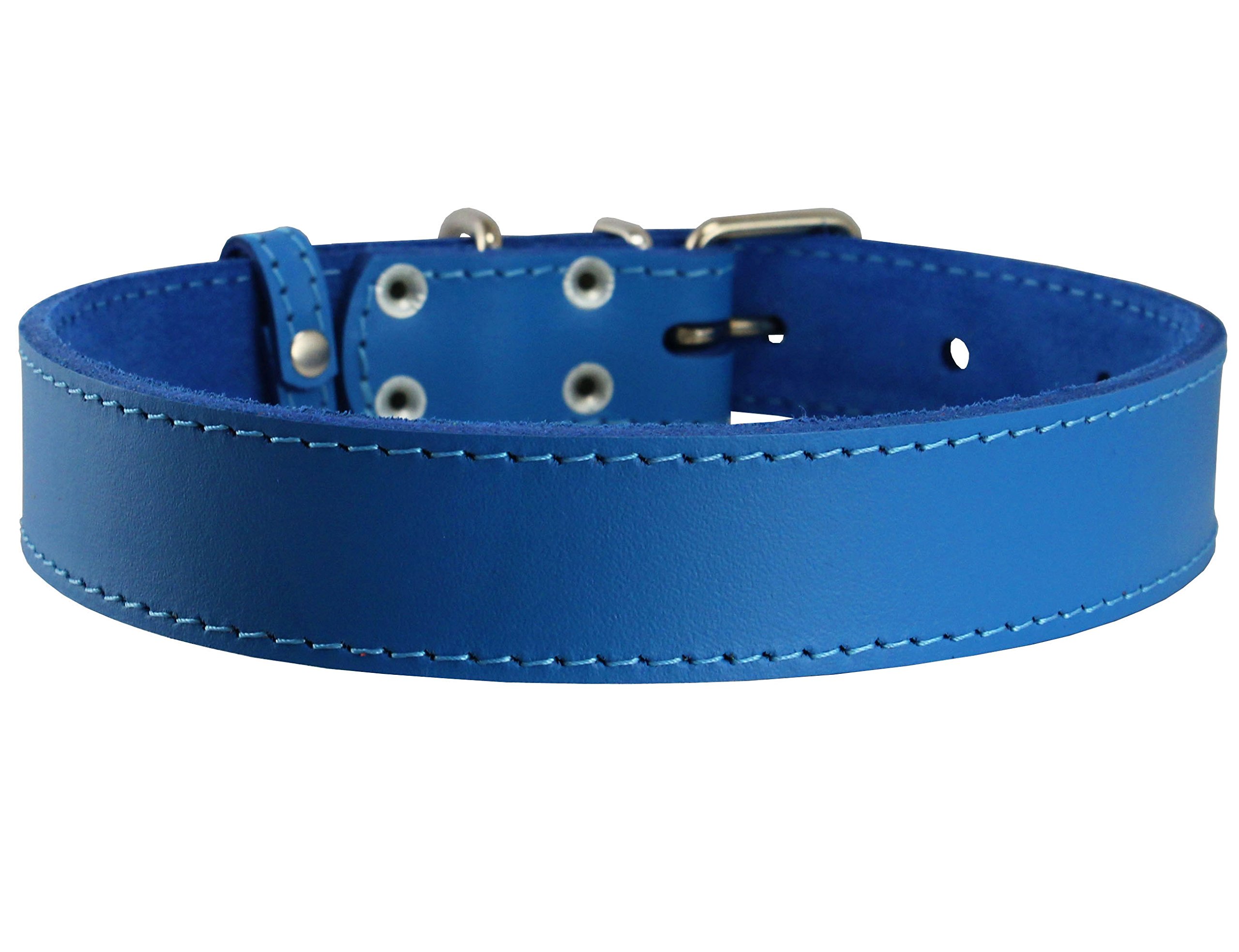 Amazon.com : Genuine Leather Dog Collar Blue 7 Sizes (16