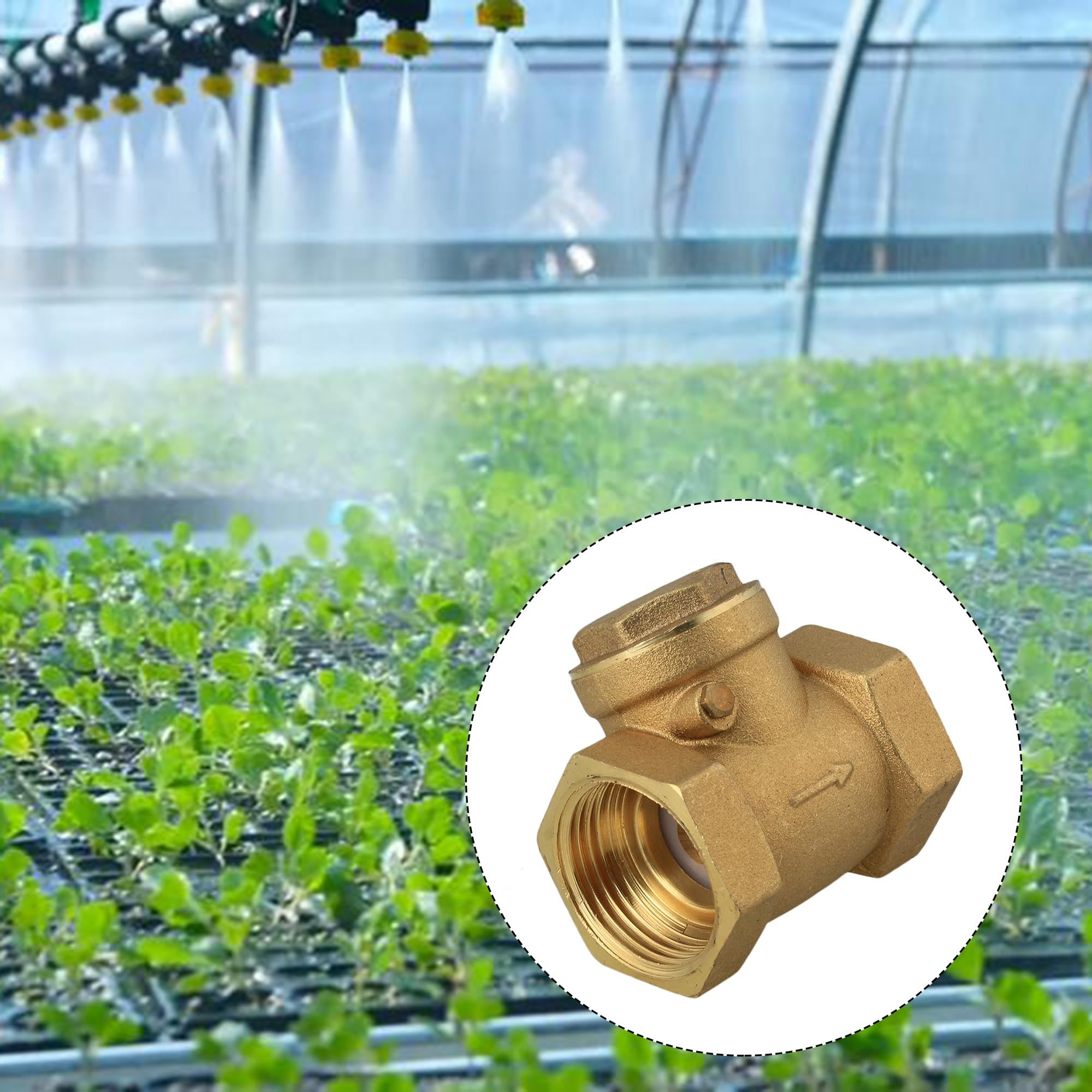 Produktbild von BQLZR Rückschlagklappe – 1 Zoll Innengewinde, BSPP, Messing, DN25, Für Wasser, Hochdruck, Hochtemperatur – Gold