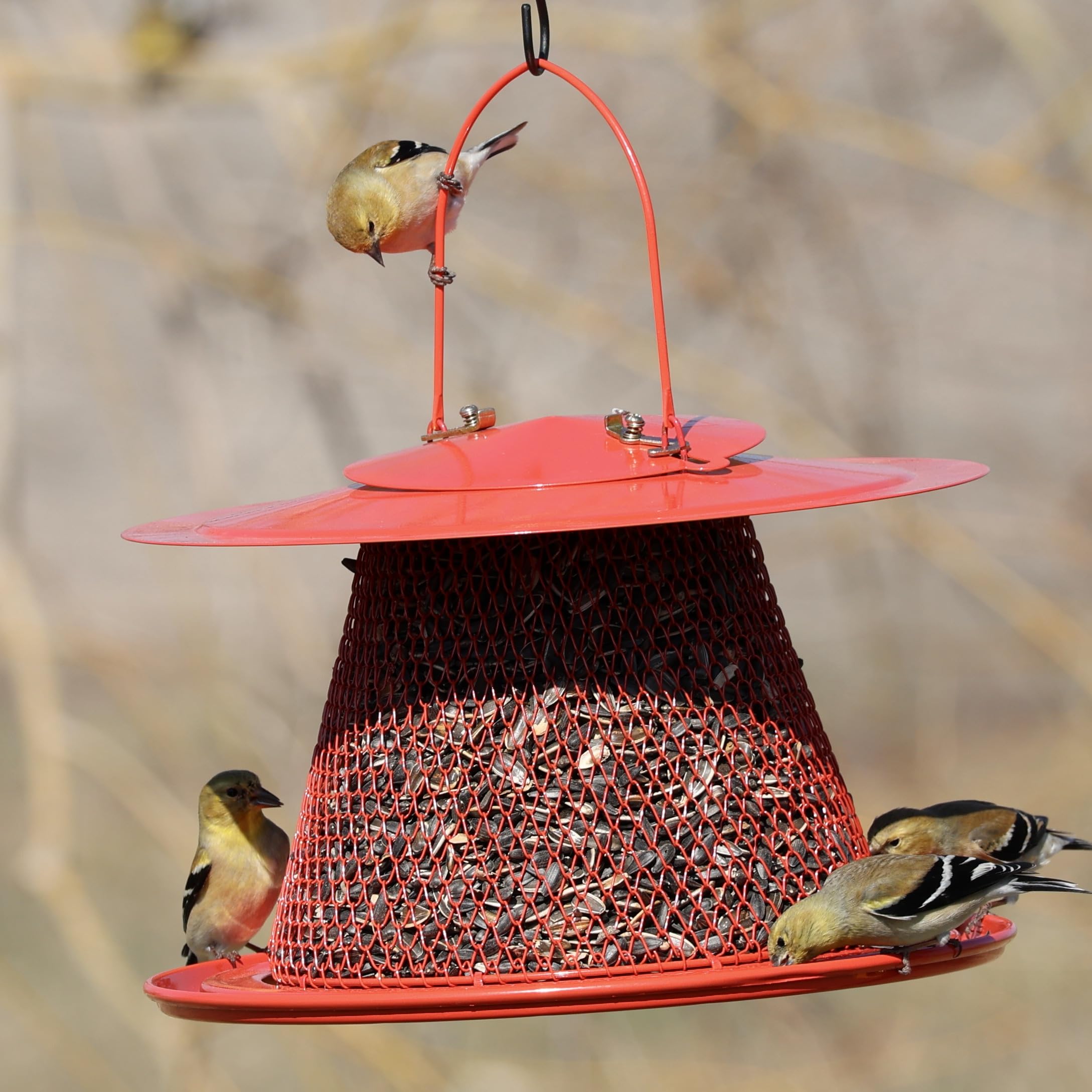 Comedero plegable de malla metálica para pájaros, comedero de pájaros cardenal rojo con capacidad para 12 tazas de semillas de girasol