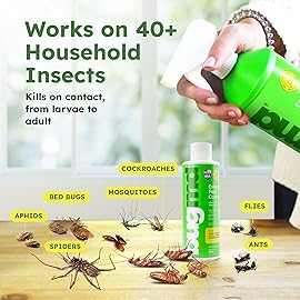 BugMD Pest Control Essential Oil Concentrate (3.7 oz, 2 Pack) - Plant Powered Bug Spray Quick Kills Flies, Ants, Roaches, Mosquitoes, and More