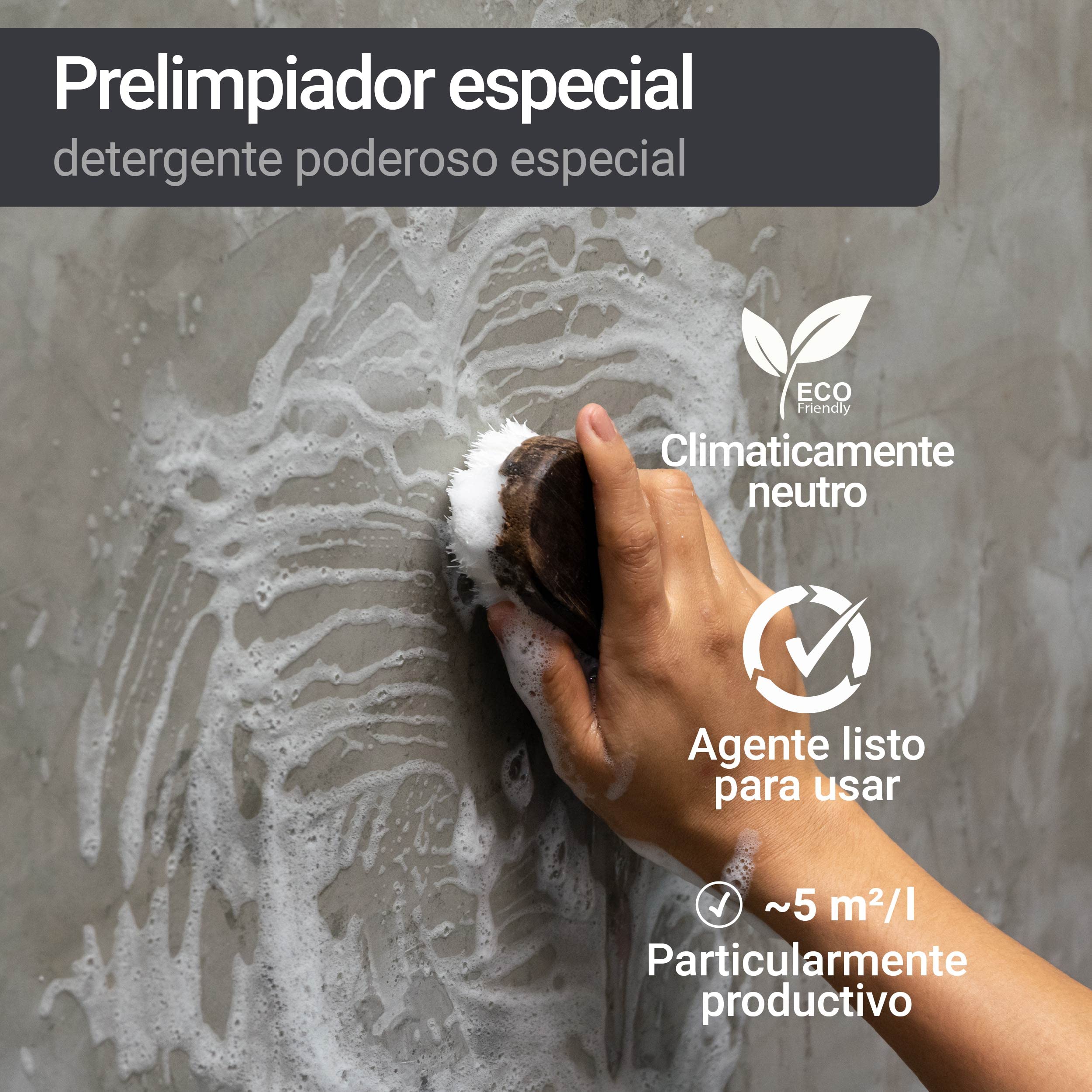 WO-WE Limpiador de hormigón cemento antes de aplicar pintura Prefiltro intenso W810-10L