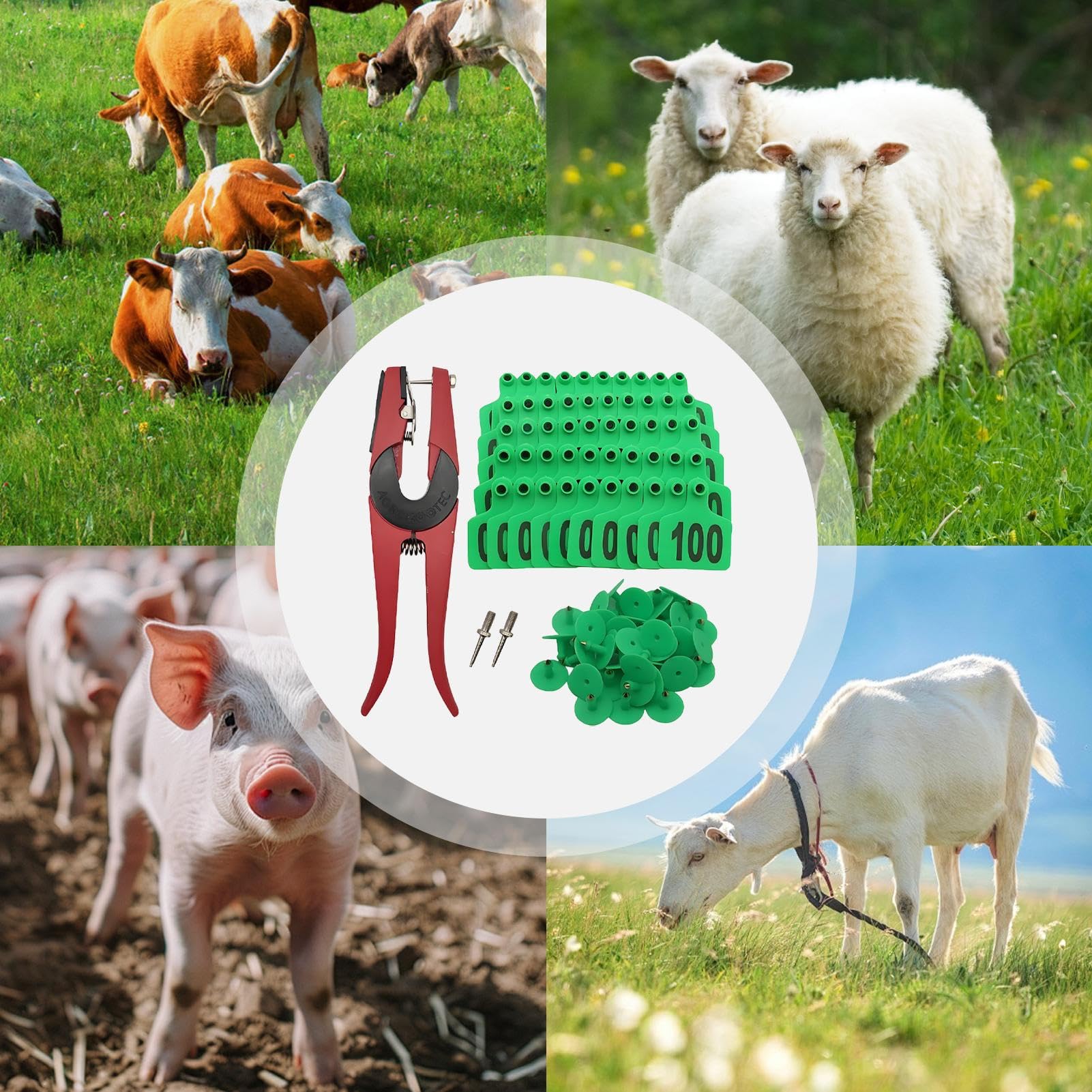 Boucles d'oreille pour bovins | Étiquettes De Marquage Pour Bétail | Étiquettes numérotées 001-100 avec applicateur pour élevage bovin identification animale moutons chèvres et gestion de