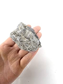 龍王石（青華石の可能性も） ADA龍王石の特徴】水質への影響やおすすめの使い方などを紹介