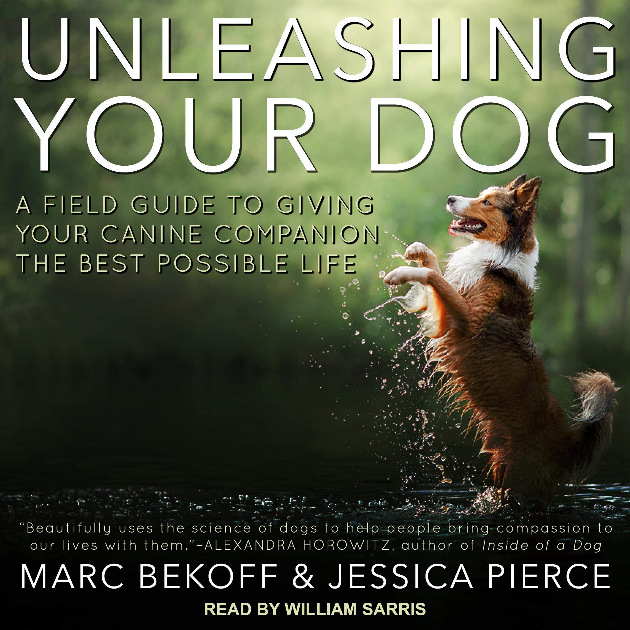 Cover art for Unleashing Your Dog