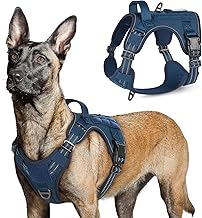 rabbitgoo Hundegeschirr Grosse Hunde, Anti Zug Geschirr Hund Verstellbar mit Griffe Verbreitert, Robust und Verschleißfest, Taktisches Hundegeschirr mit Metallschnallen zum Wandern(L, Blau)