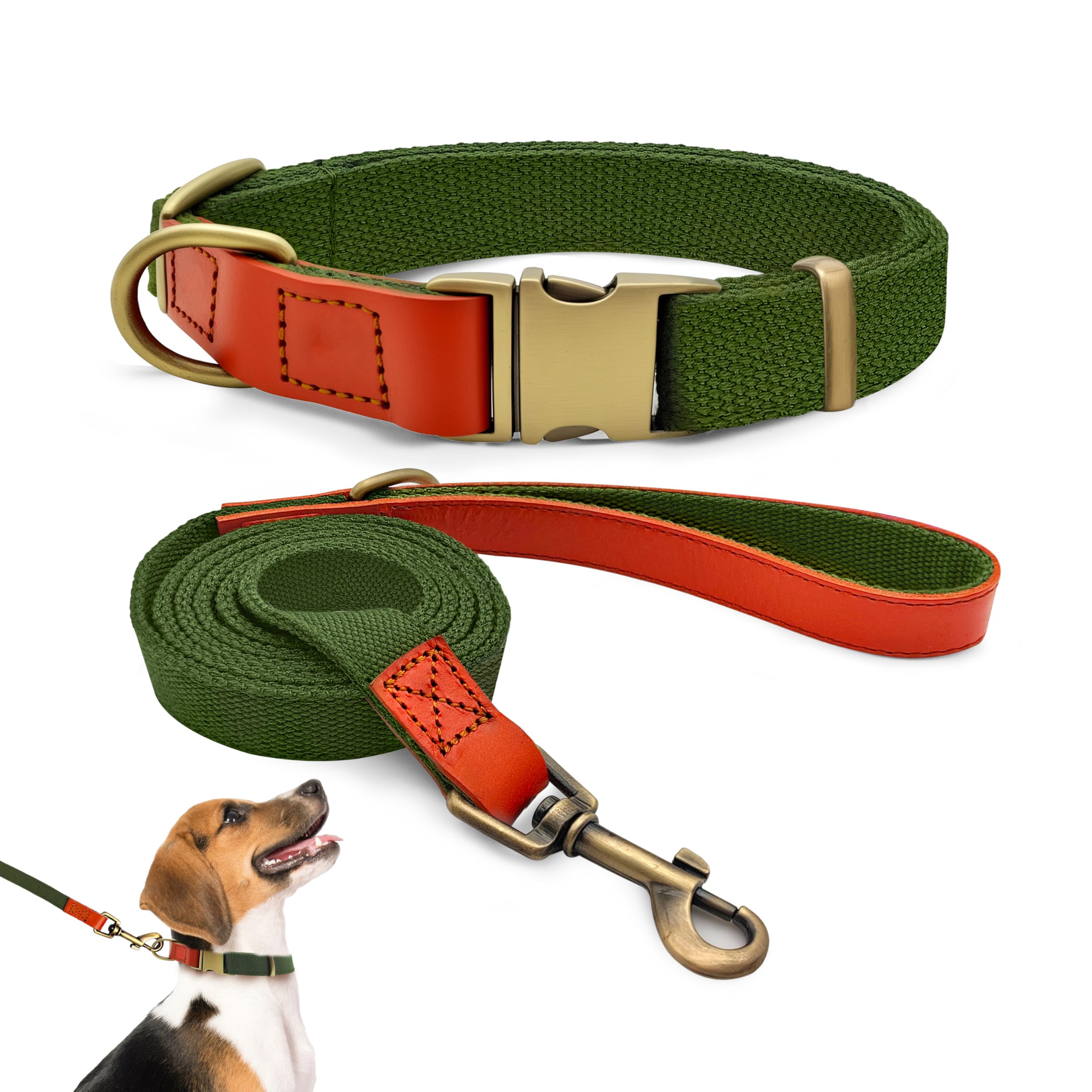 Set de Collar y Correa 152cm para Perros M (32-50cm) Nailon (Verde) | Hebilla de Metal y Anillo D, Asa de Cuero Suave, Ajustable y Duradero para Perros Pequeños y Medianos, Paseo y Senderismo