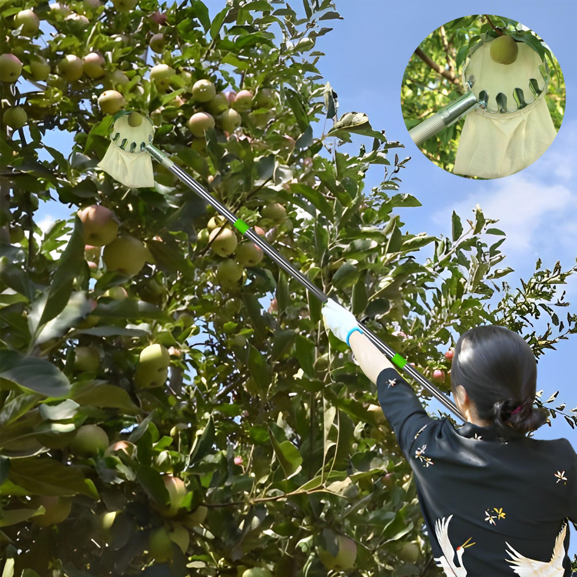 Raccoglitrice con Palo, Raccoglitore di Frutta Bastone, Raccogli Frutta, Raccogli Frutta Telescopico, Raccoglitore di Frutta Ad Alta Quota, Salvaspazio, Strumenti Pratici del Frutteto