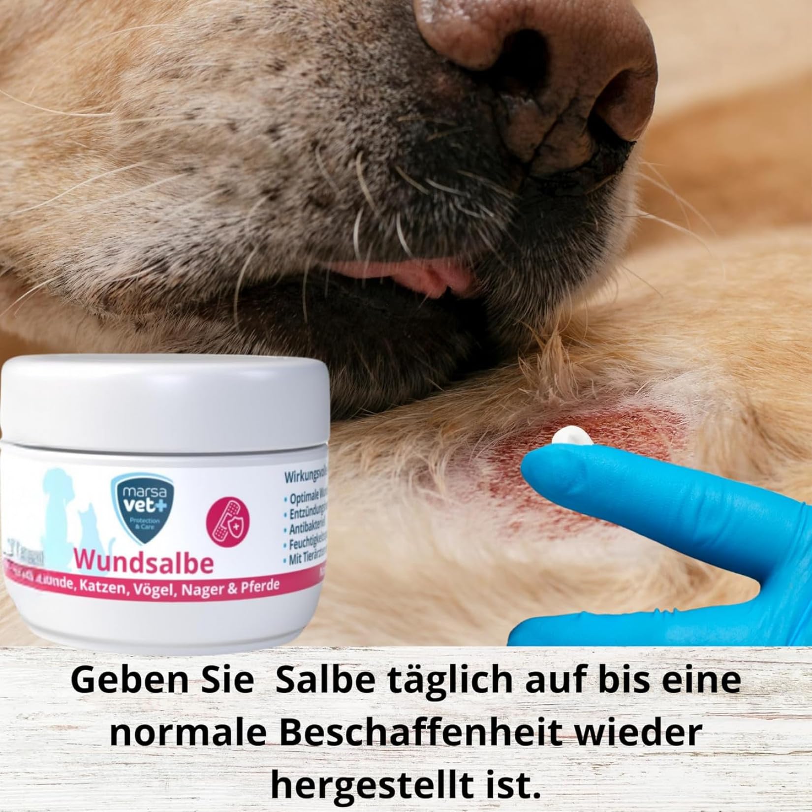 Marsavet + Pommade Cicatrisante 30 ml pour Chiens Chats Oiseaux Rongeurs Chevaux