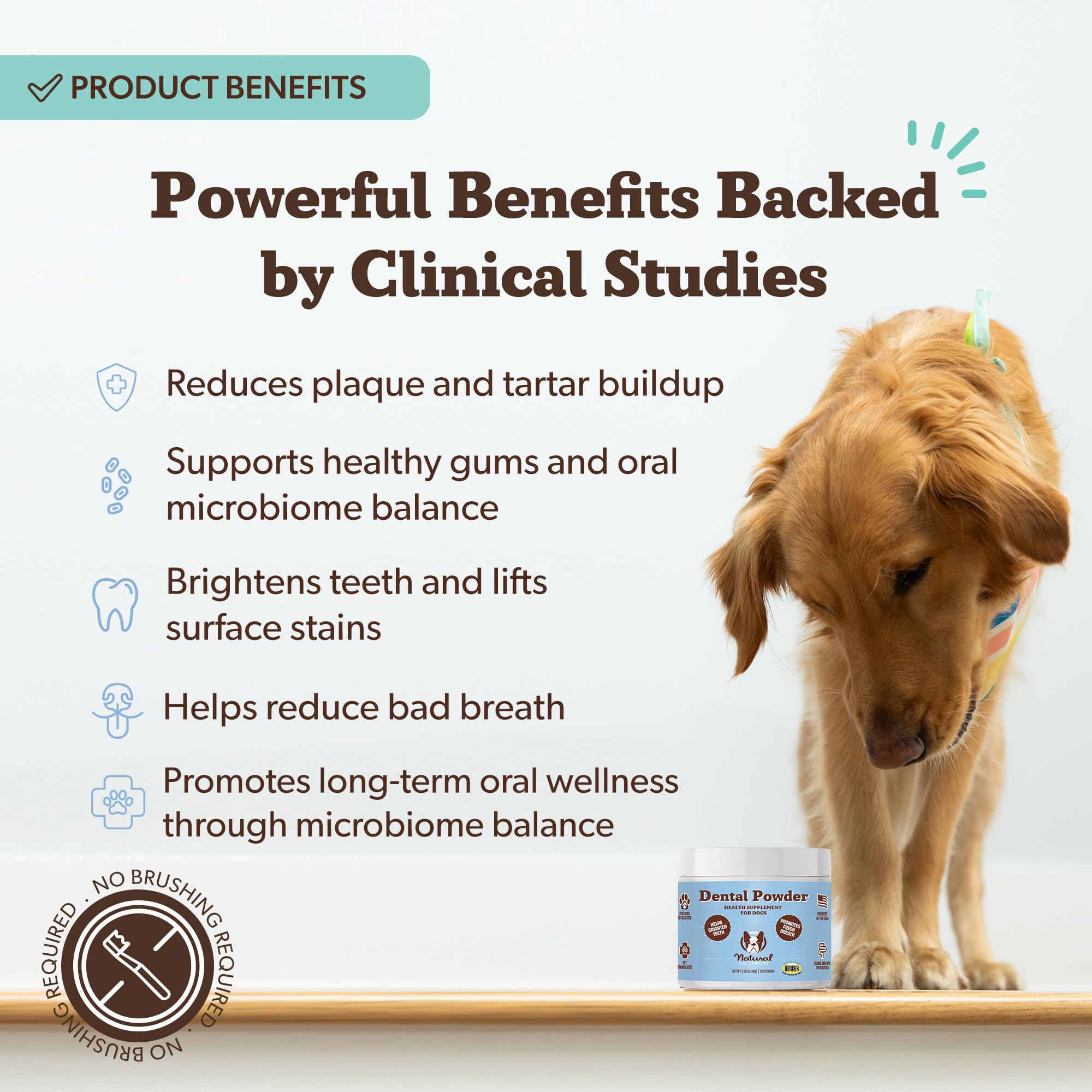 Natural Dog Company Dental Powder for Dogs – Freshens Breath & Helps Reduce Plaque & Tartar, Natural No-Brushing Canine Oral Health Postbiotic Supplement, Vet Formulated, Made in USA, 30-Day Supply - image 4