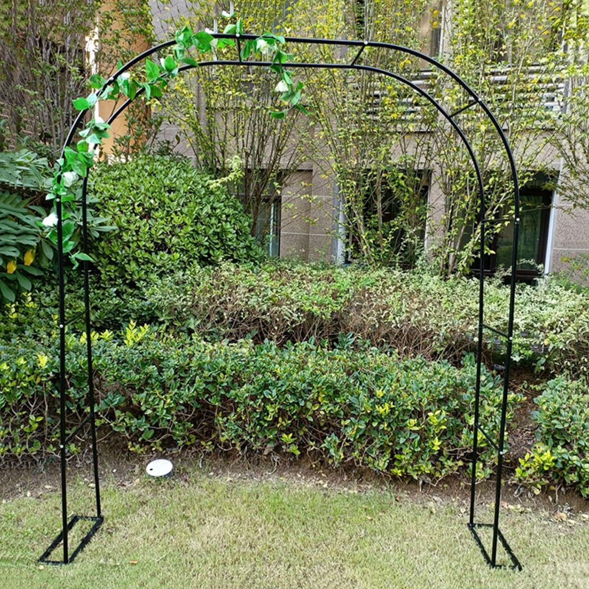 Arches de roses pour plantes grimpantes et arche de support en acier de terrasse