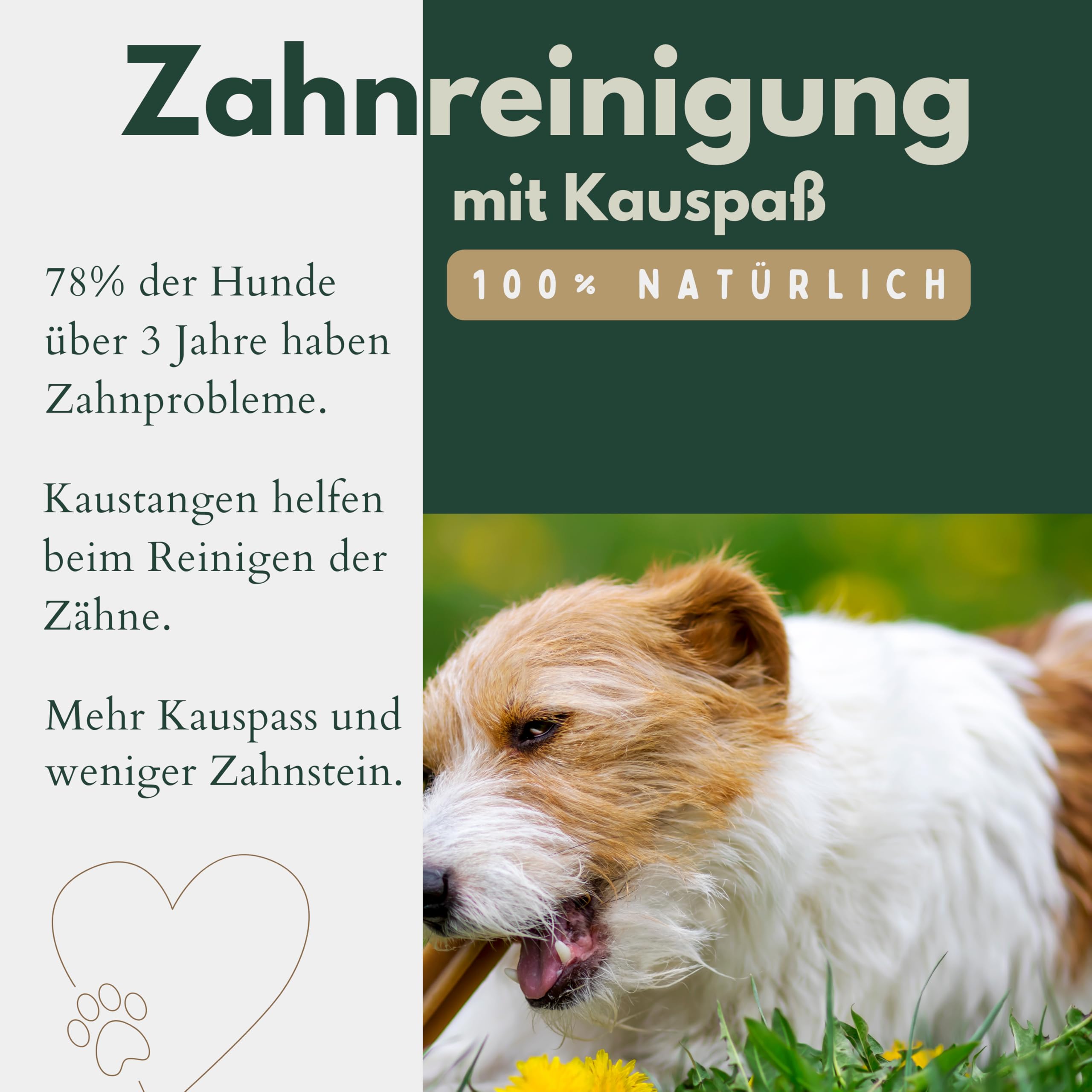 BREERs Getrocknete Rinderohren mit Muschel für Hunde 1 Kg aus eigener Deutscher Herstellung, Kauartikel für Groß & Klein