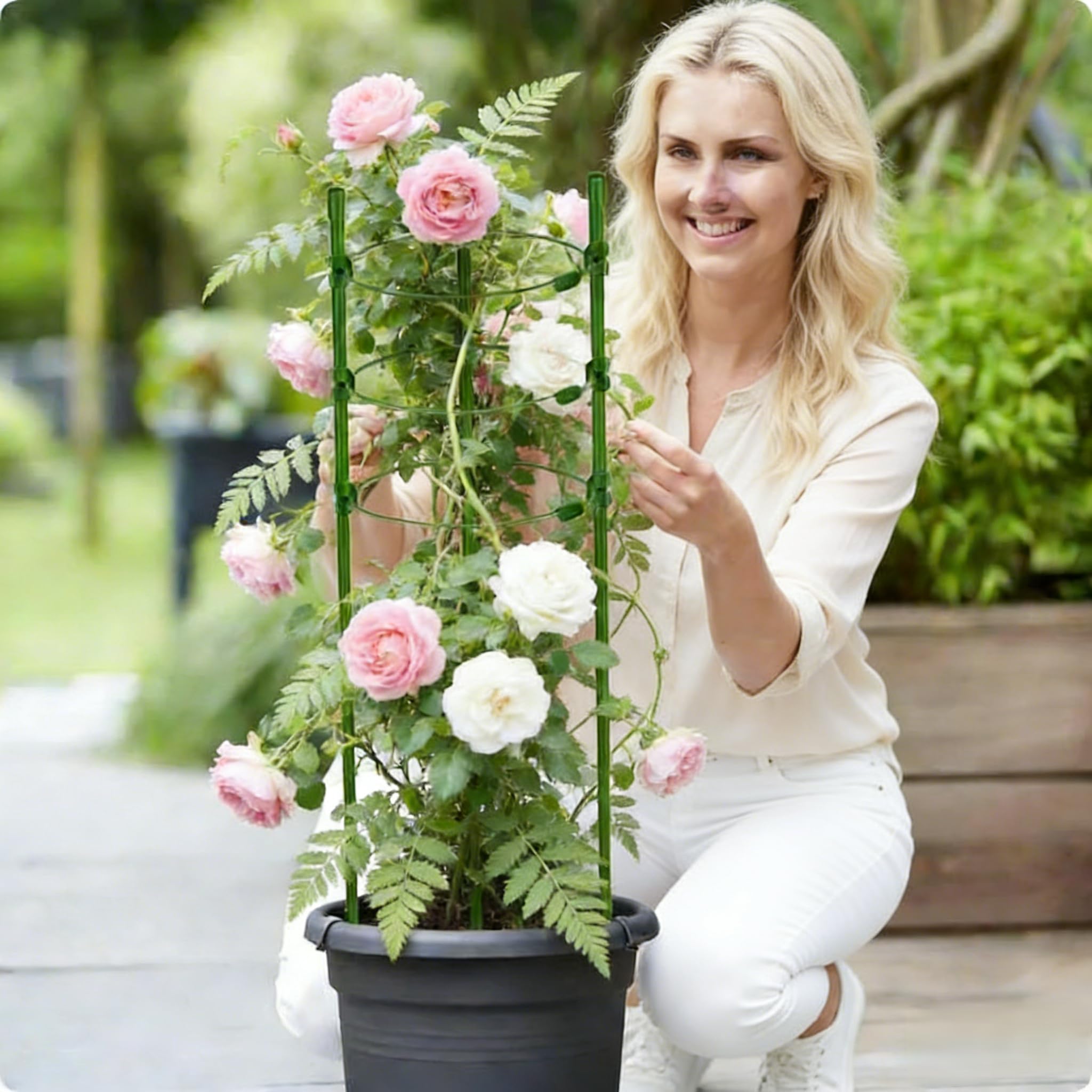 ローズレース スタンド Amazon.com : Tomato Cage Plant Support Cages for Garden, Upgrade