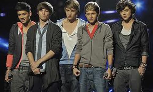 One Direction Video Diary app – vue 3