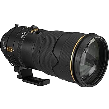 Amazon.com : Nikon AF-S FX NIKKOR 300mm f/2.8G ED Vibration
