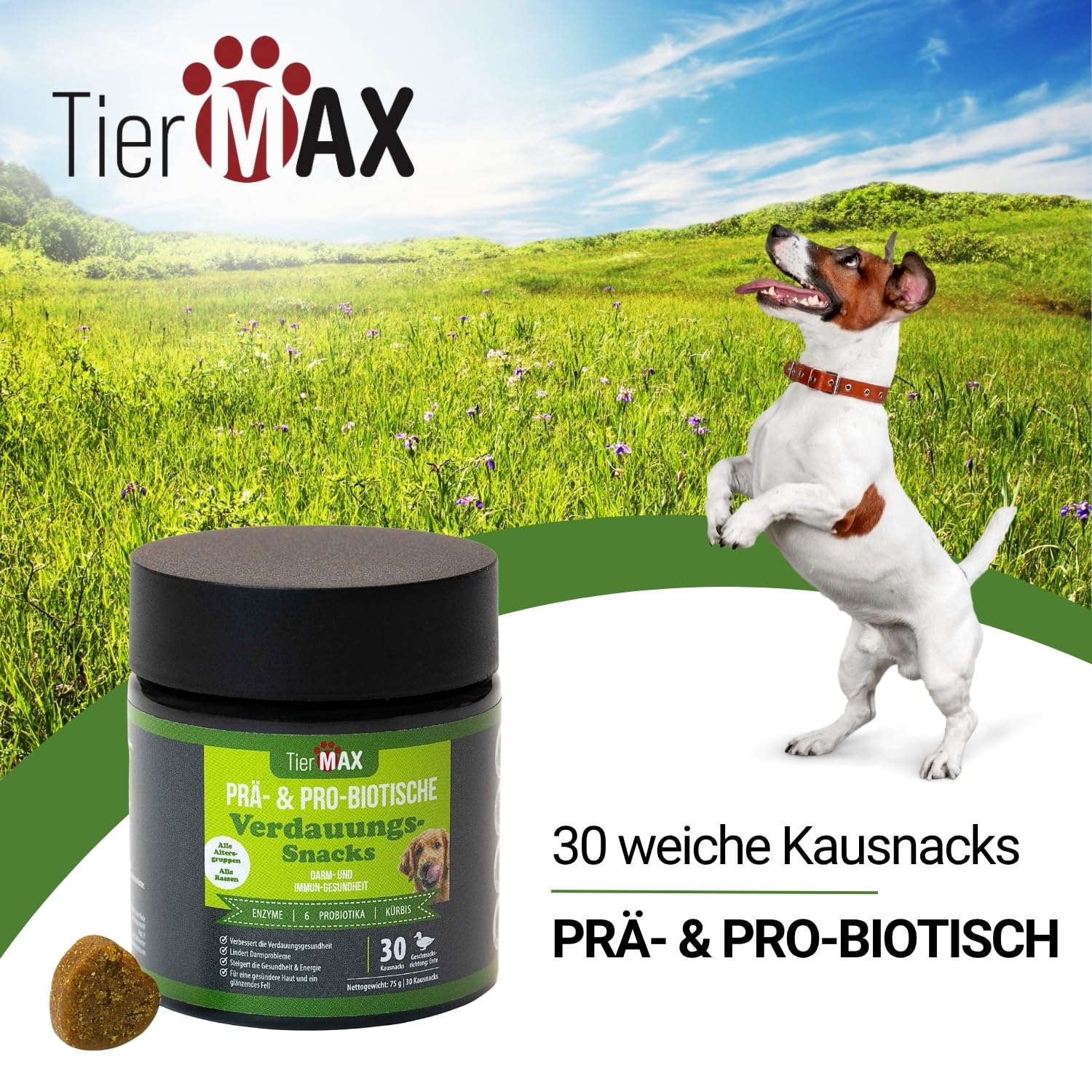 Friandises digestives pré & probiotiques pour chiens - (2 x 30 friandises douces pour chiens) - digestion et flore intestinale - Qualité supérieure et naturelle - Probiotiques pour chiens à