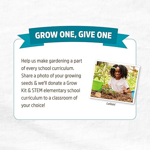 Miniatura 7 de Back to the Roots Semillas 100% orgánicas, sin OMG y cultivadas en Estados Unidos  Variedad de 30 unidades  Hierbas, frutas y verduras  Garantizado