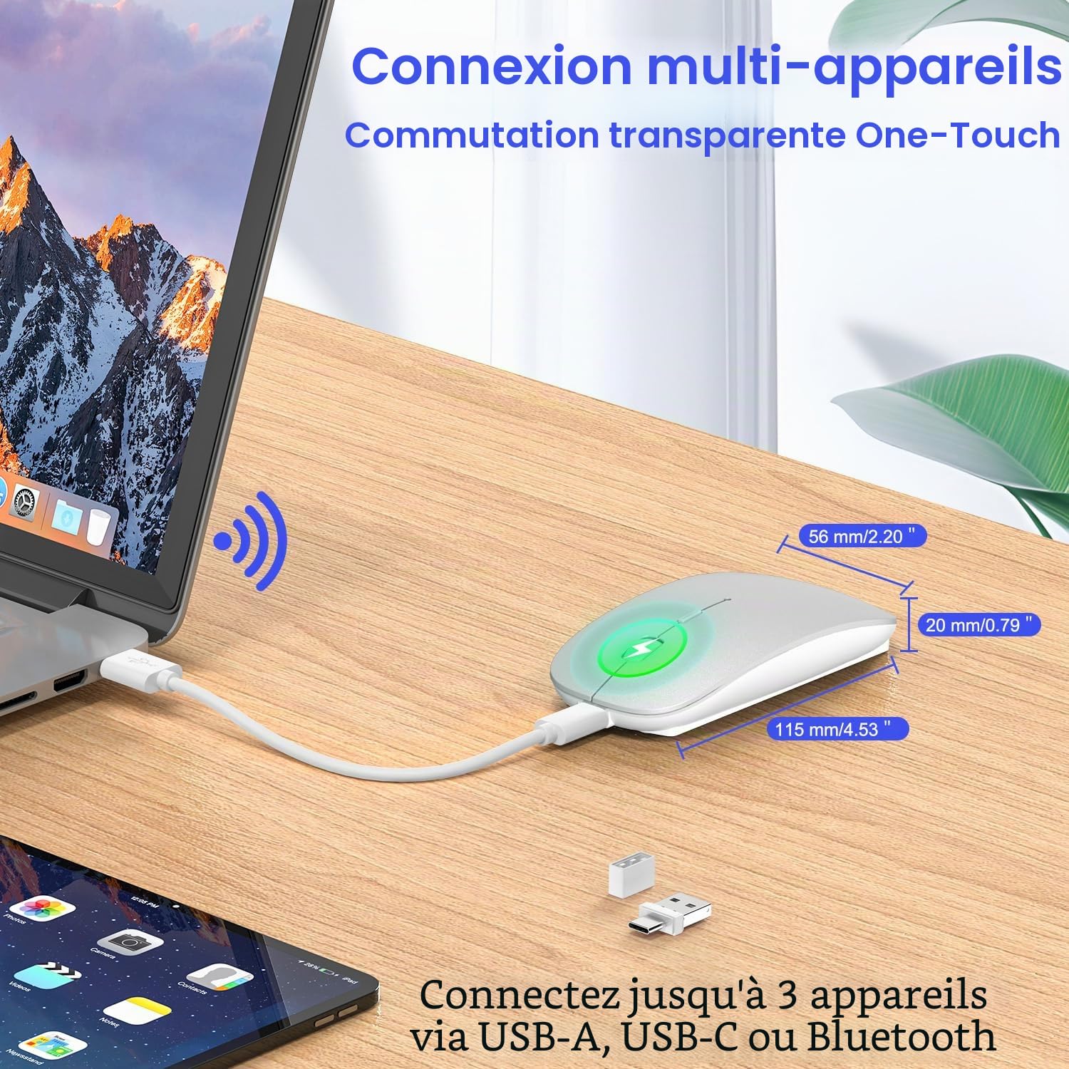 Souris Bluetooth sans Fil pour MacBook Pro/Air/Mac/iPad/Ordinateur Portable/Bureau/Mac/PC/Ordinateur/téléphone - Souris de Bureau Portable Fine et silencieuse avec Adaptateur USB-C 2,4 GHz