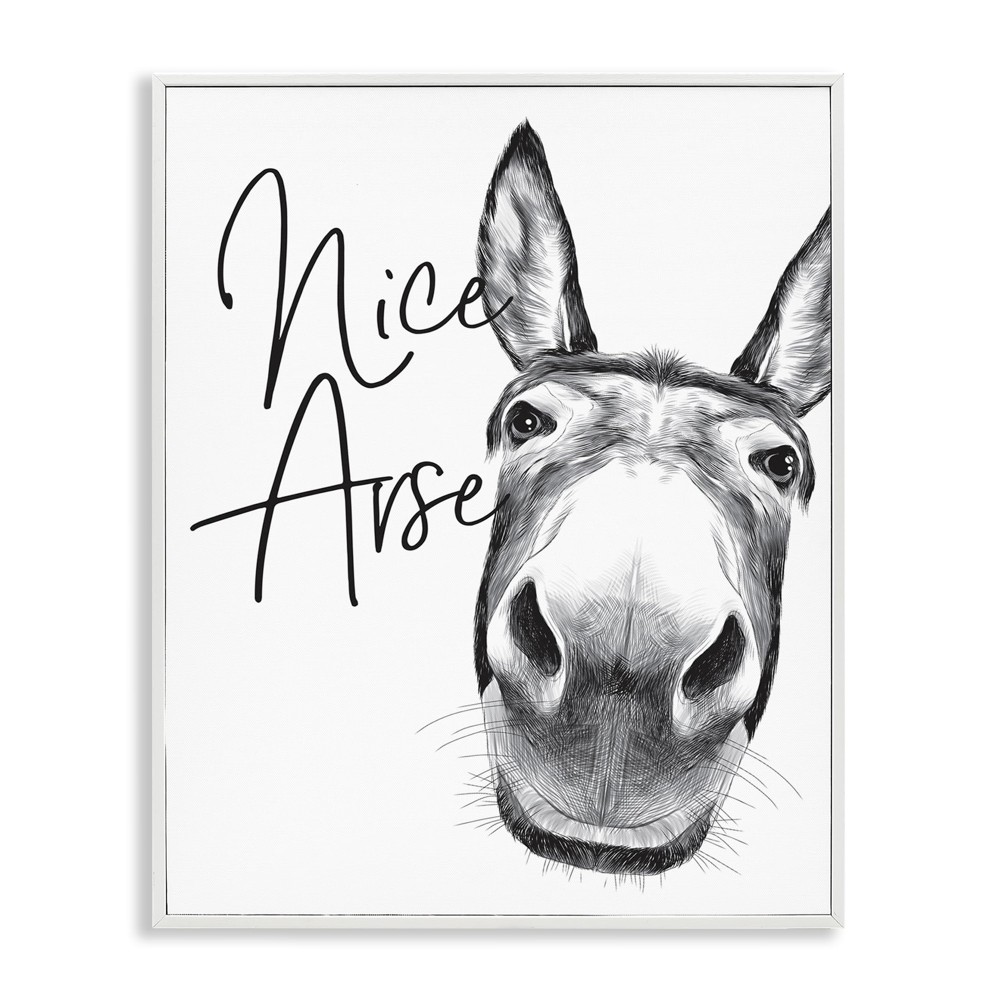 Stupell Industries 'Donkey Bathroom Humor', Framed Giclee Art, White, 24 x 30 Inches, Easy to Hang and Sturdy, Made in USA, by Lettered and Lined